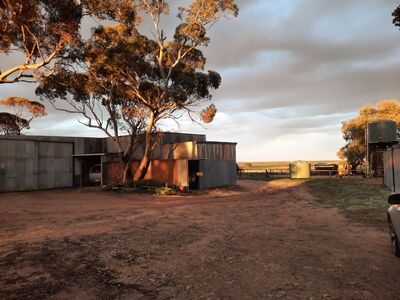 Keywords: morning,trees,house