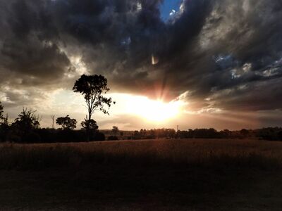 Keywords: dark clouds,bright sun,tree