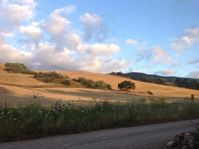 Keywords: pale yellow hill,whispy clouds