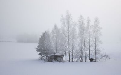 Keywords: winter,snow,snowy