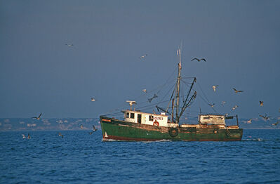 Keywords: painting a fishing boat - part 1,painting a fishing boat - part 2