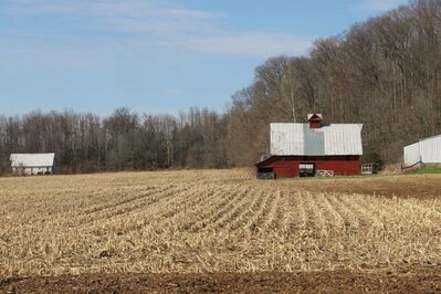 Keywords: red,barn,fallow,field,trees