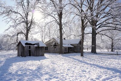 Keywords: snow,old,buildings,stark,trees,white