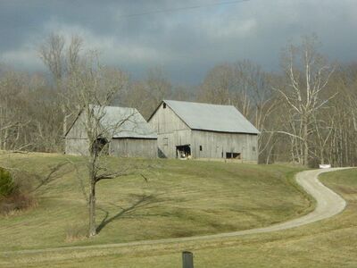 Keywords: grew,sky,barns,road,green grass