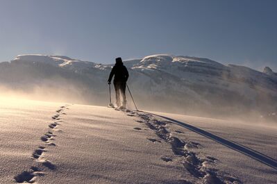 Keywords: winter,snow,snowy