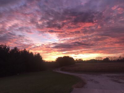 Keywords: watercolor painting of a path at sunrise