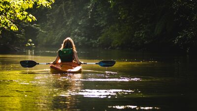 Keywords: boat,rowboat,boat,sunrise,morning,backlight,river,water,kayak,green,tree branches