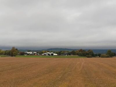 Keywords: white buildings,grey sky,brown field