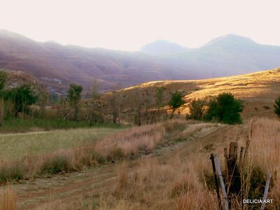 Keywords: yellow hill,track,overcast sky