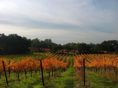 Keywords: red,fields,green trees