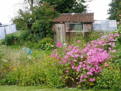 Keywords: greenhouse,pink flowers,laundry,grasses,green,trees,Watercolor painting a Spring flower garden - 51:50