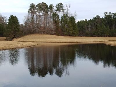 Keywords: tall trees,river,lake,pond,reflection,grey,sky