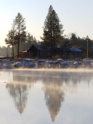 Keywords: pines,parking lot,water,fog,mist,reflection