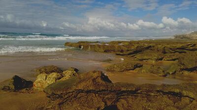 rocky,ocean,waves,sand,seashore,rock
