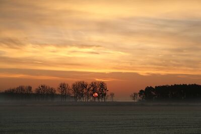 Keywords: sunrise,tree,trees,shadow,cast shadow,yellow sky,clouds,field