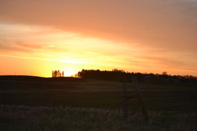 Keywords: sunrise,yellow,sky,trees,green,field,Should I always wet the paper before watercolor painting - 20:04