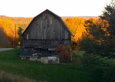 Keywords: yelloe foliage,old,grey barn,green field,derelict,dilapidated