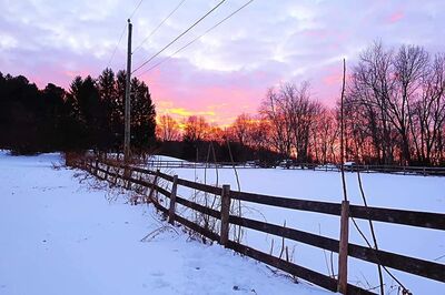 Keywords: snow,fence,sunrise,trees