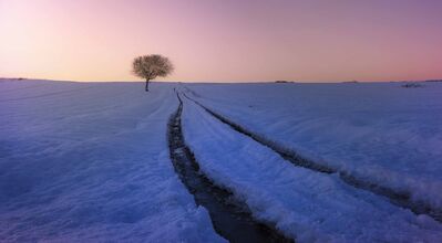 Keywords: Watercolor painting for a Holiday Greeting,tree,snow