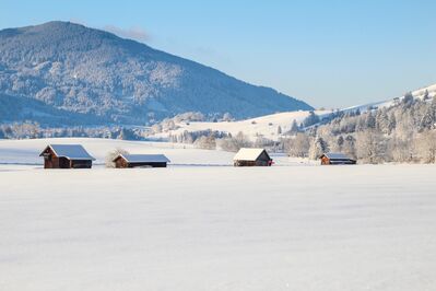 Keywords: winter,snow,snowy