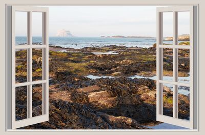 Keywords: window view,beach,fishing