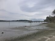 Vashon_WA-1130269.JPG