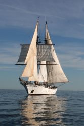 clipper-sail-ship-boat.jpg
