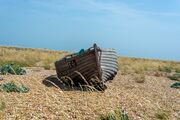 dungeness-4752156_1920.jpg