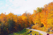 reference_autumn_mountains2.JPG