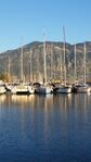 reflection-boats-facebook-Michele_Winfield-library_of_artists_reference.jpg