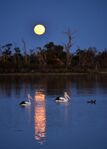 reflection_moon-facebook-Paul_White-library_of_artists_reference.jpg