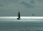 sea-sailboat-facebook-Cathy_Sell-library_of_artists_reference.jpg