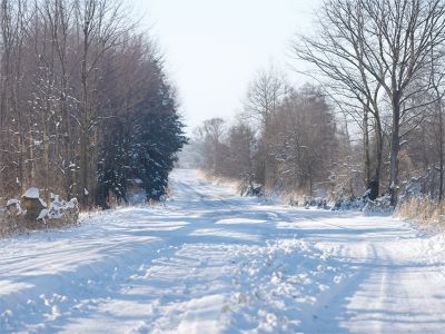 snowy_country_road
