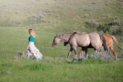 horses-937768_1920.jpg