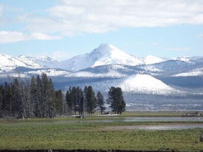 Keywords: mountain,yellowstone,Watercolor landscape of trees and mountain - 28:10