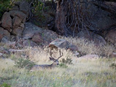 Keywords: Colorado,Lily Lake