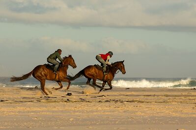 Keywords: horse,horses,riders,racing horses,racing on the beach,two