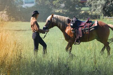 Keywords: horse,girl,outdoor,cowgirl