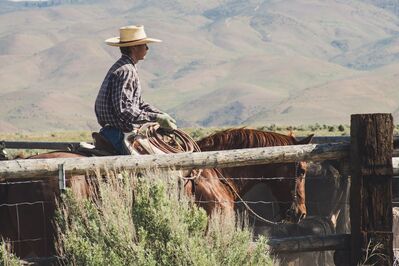 Keywords: horse,man,cowboy