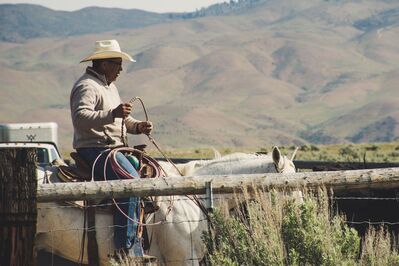 Keywords: horse,man,cowboy