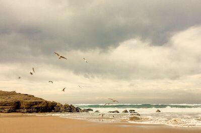 Keywords: beach,sea,ocean,seagull,seagulls,sea birds,bird,birds,watercolor_beach_seagulls - 51:00