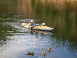 lily-lake-Colorado-boat8.jpg