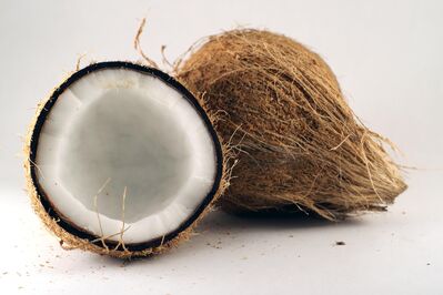 Keywords: A_cut_coconut_shell,Watercolor painting of two coconuts