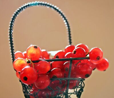 Keywords: Currant_berries,basket