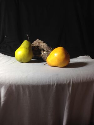 Keywords: pears,fruit