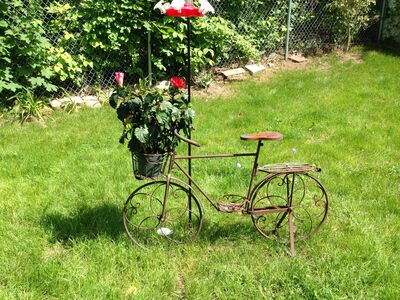 Keywords: old bike,garden,plents