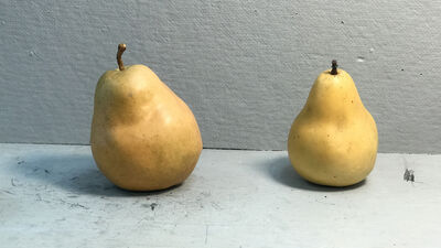 Keywords: pears