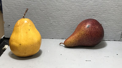 Keywords: pears,fruit