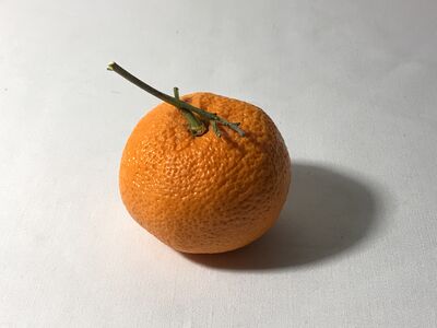 Keywords: drawing a mandarine orange with one leaf using charcoal