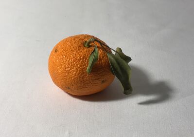 Keywords: drawing a mandarine orange with several leaves using charcoal